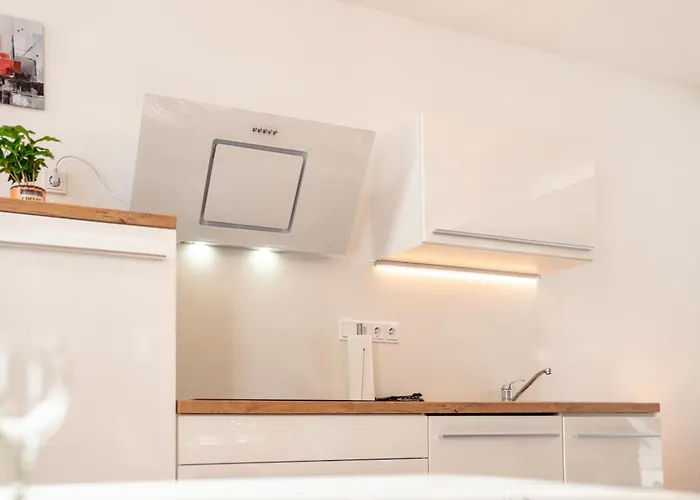 Danube Rooms - Self Checkin - Ideal Fuer Geschaeftsreisende Und Staedtetrips - Moderne Wohnungen In Ruhiger Lage *