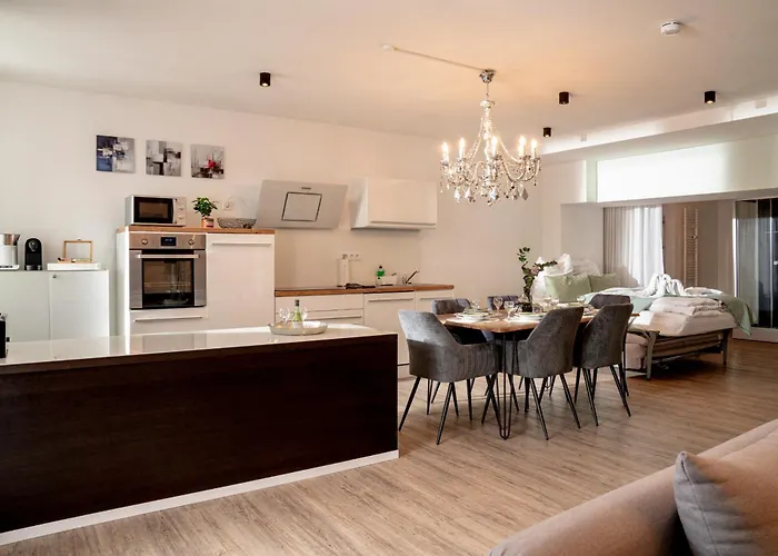 Danube Rooms - Self Checkin - Ideal Fuer Geschaeftsreisende Und Staedtetrips - Moderne Wohnungen In Ruhiger Lage * Passavia