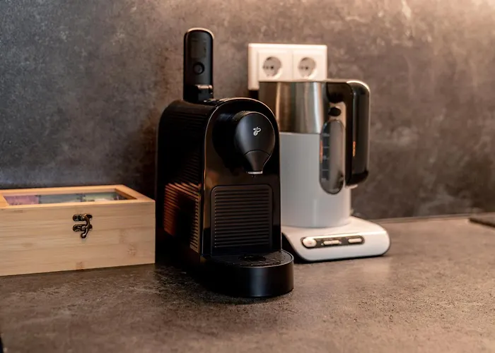 Danube Rooms - Self Checkin - Ideal Fuer Geschaeftsreisende Und Staedtetrips - Moderne Wohnungen In Ruhiger Lage * Passavia