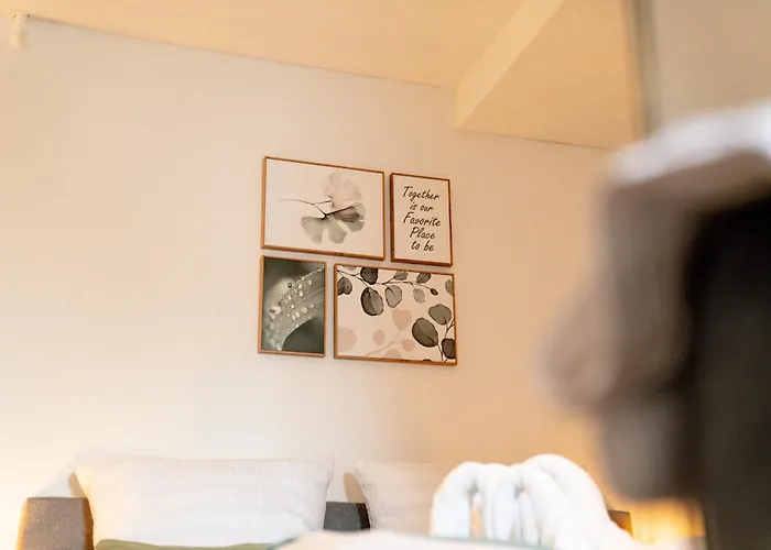 Apartment Danube Rooms - Self Checkin - Ideal Fuer Geschaeftsreisende Und Staedtetrips - Moderne Wohnungen In Ruhiger Lage Passau