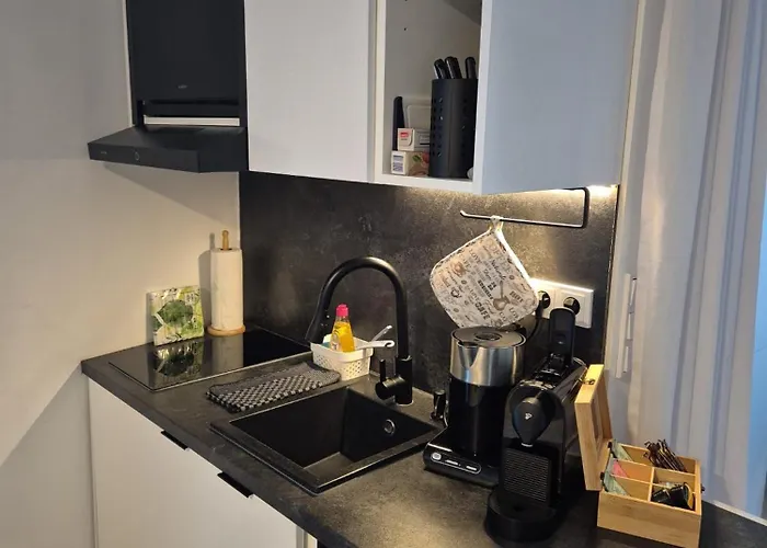 Danube Rooms - Self Checkin - Ideal Fuer Geschaeftsreisende Und Staedtetrips - Moderne Wohnungen In Ruhiger Lage Pasov