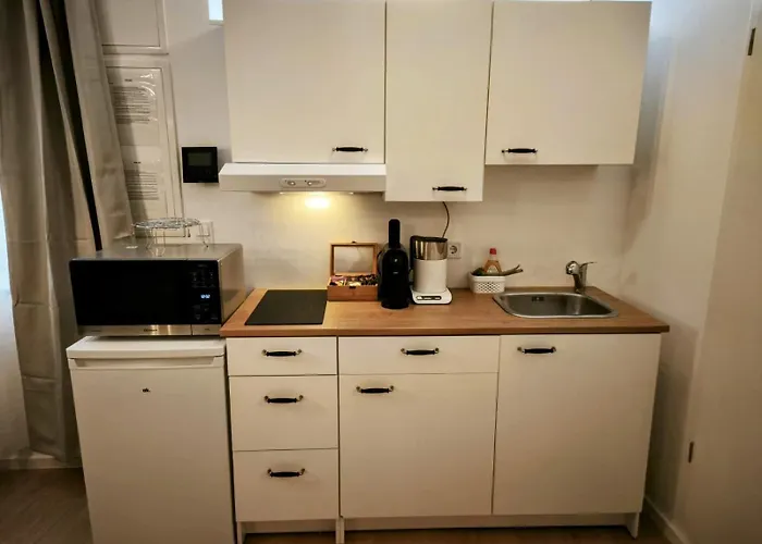 Danube Rooms - Self Checkin - Ideal Fuer Geschaeftsreisende Und Staedtetrips - Moderne Wohnungen In Ruhiger Lage Appartamento *