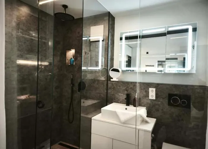 Danube Rooms - Self Checkin - Ideal Fuer Geschaeftsreisende Und Staedtetrips - Moderne Wohnungen In Ruhiger Lage * Pasov