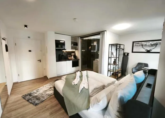 Danube Rooms - Self Checkin - Ideal Fuer Geschaeftsreisende Und Staedtetrips - Moderne Wohnungen In Ruhiger Lage Apartment *